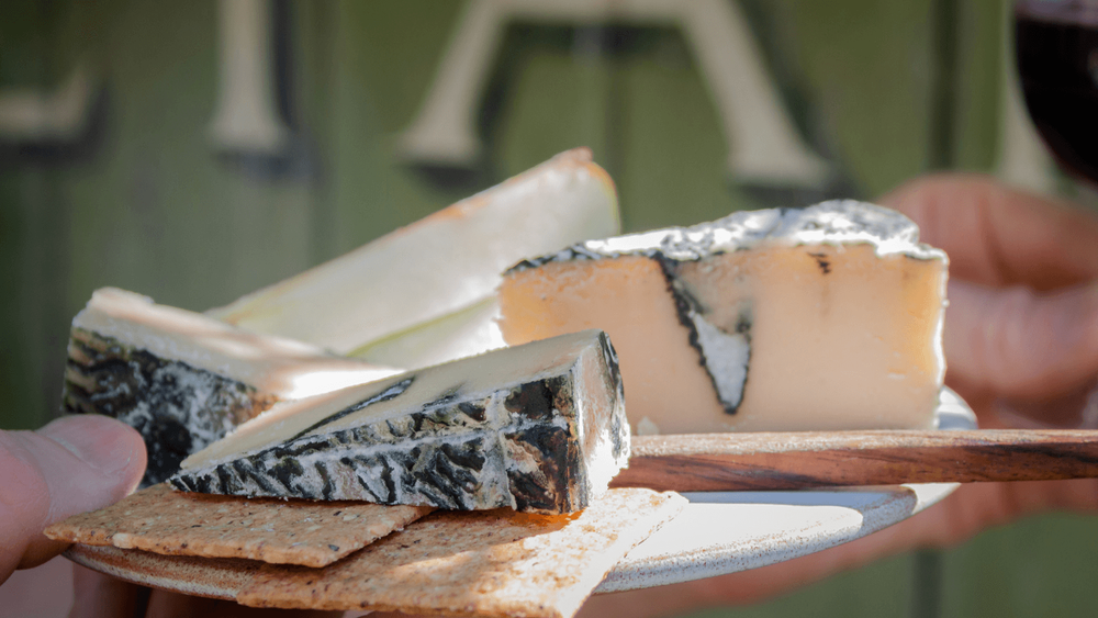 slices of vegan cheese on a silver plate being held by a pair of hands in front of a green wall