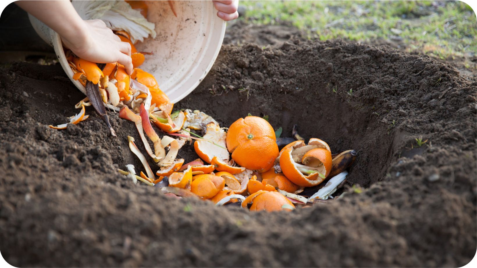 vegetables being turned into compost in a hole in the ground 