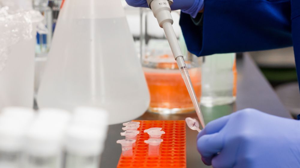 Scientist using a pipette to do tests in a lab environment