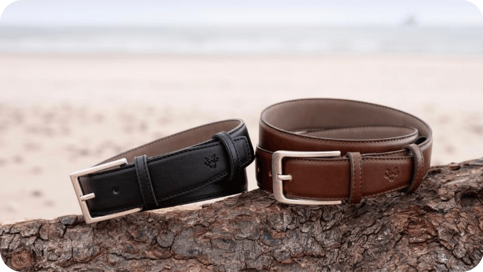 Two curled vegan leather belts from Watson & Wolfe on a log with a beach in the background