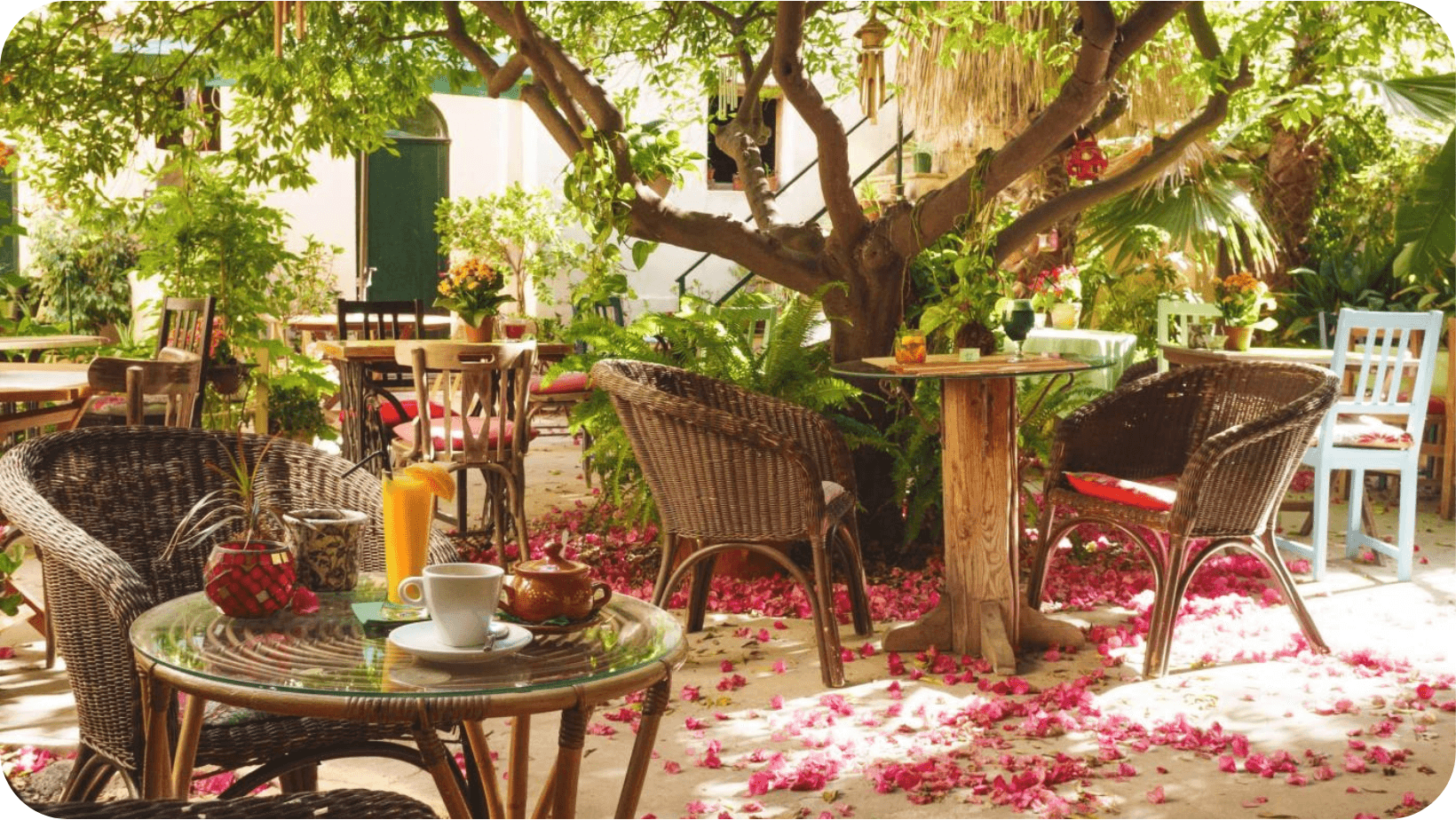 Terrace with tables and chairs with luscious plants 