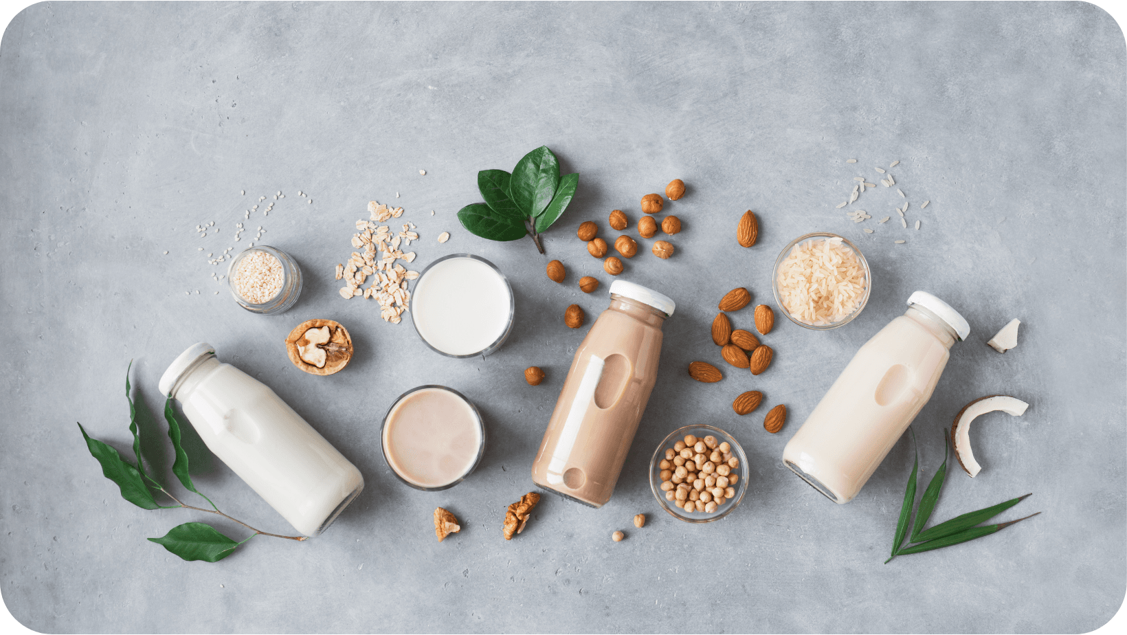 A variety of plant-based milks in bottles and their constituent ingredients laid out next to them 