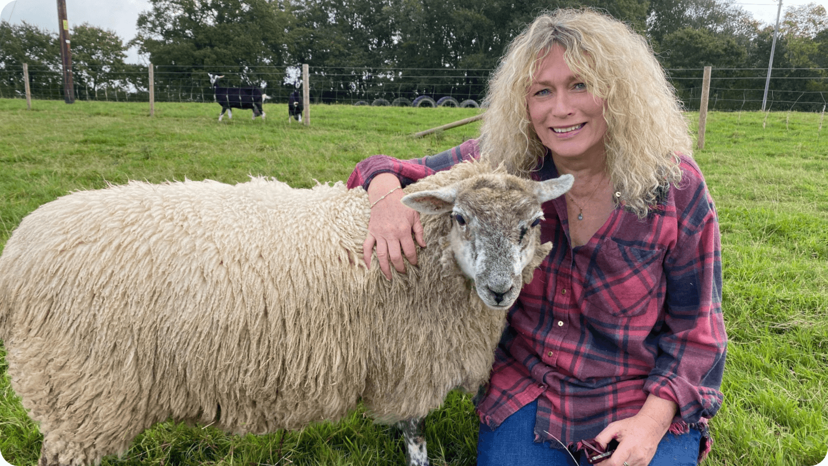 Juliet Gellatley kneeling on the grass with her arm around a sheep