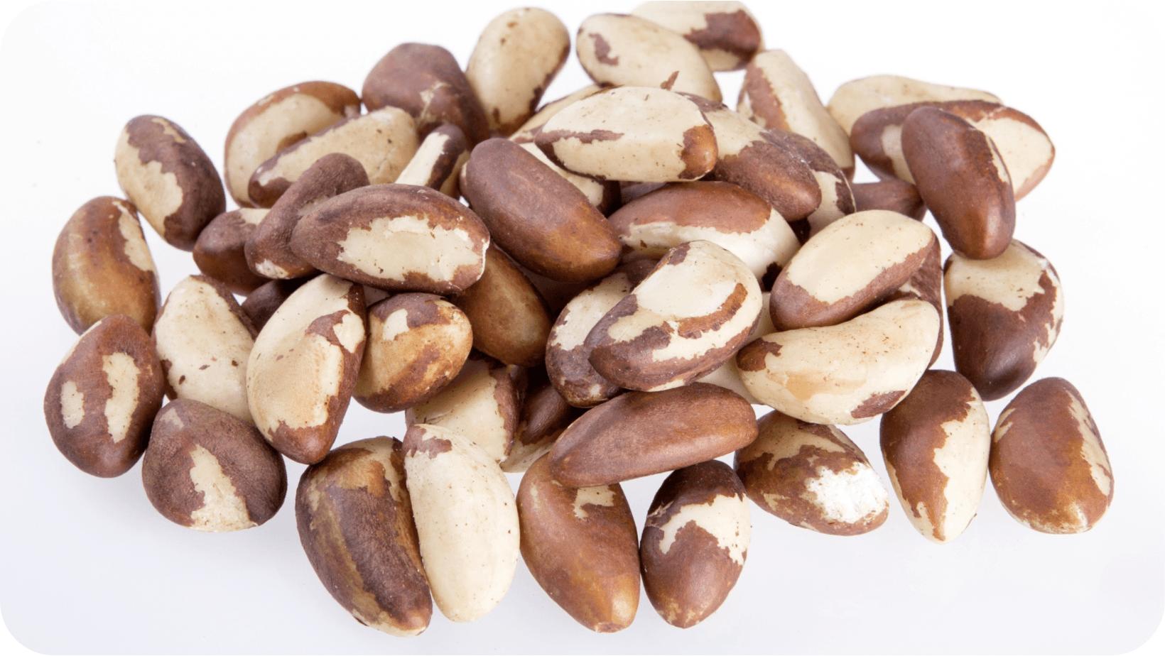 Multiple Brazil nuts
