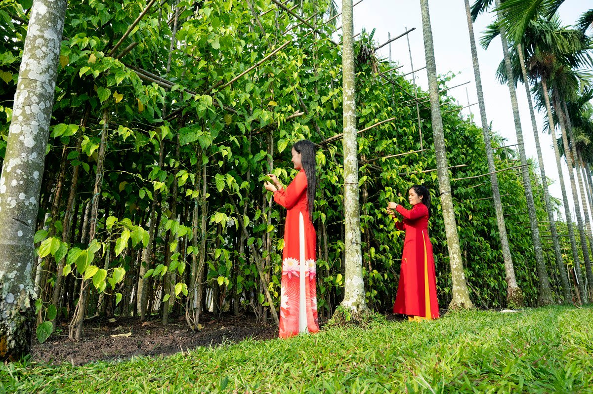 Hành trình về vùng đất Vườn Trầu, nghe vang vọng 18 thôn