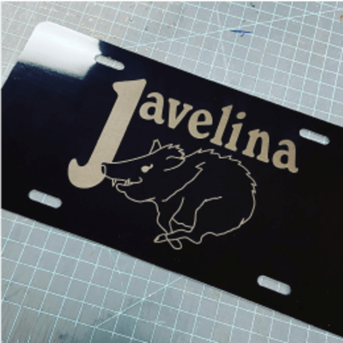 Click to open image in modal.