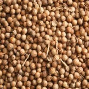 Coriander Extract
