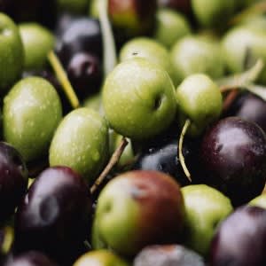 Olive Squalane Anti-Aging Serum