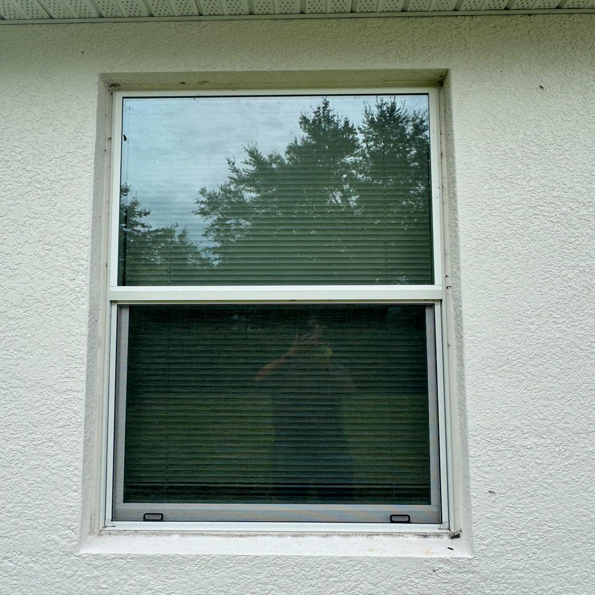 residential windows low e rating klowes Orlando Low-E Glass conductive gel ProOmega® Curcumin – Dr. Pack:Pack of 200g