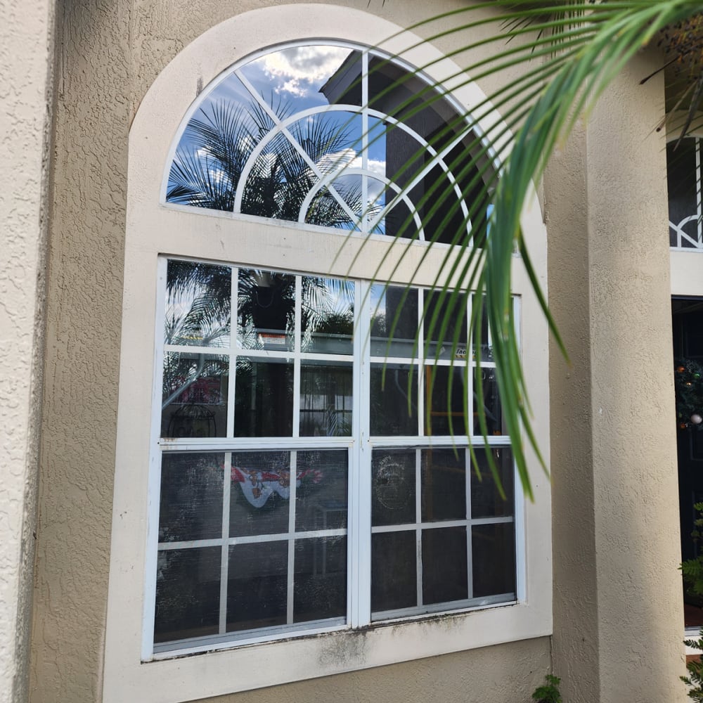 fogged double pane window replacement Orlando