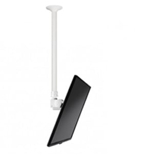 Ceiling Mounts