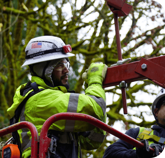 tree work