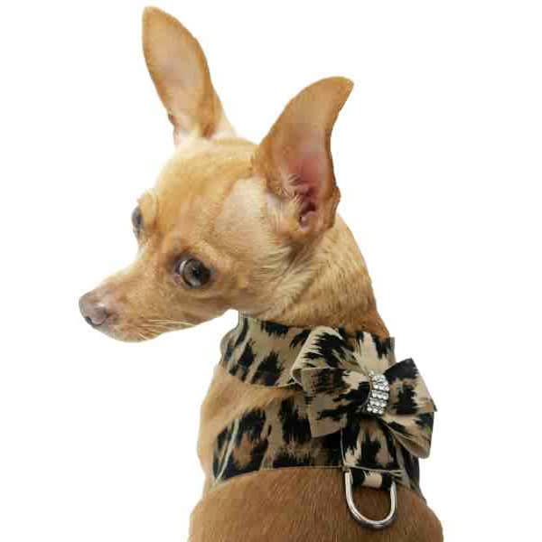 designer pet collars