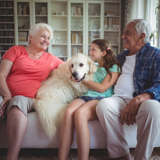 SAFE FOR PETS CHILDREN & ELDERLY