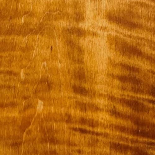 curly oil amber. Click to open in modal.