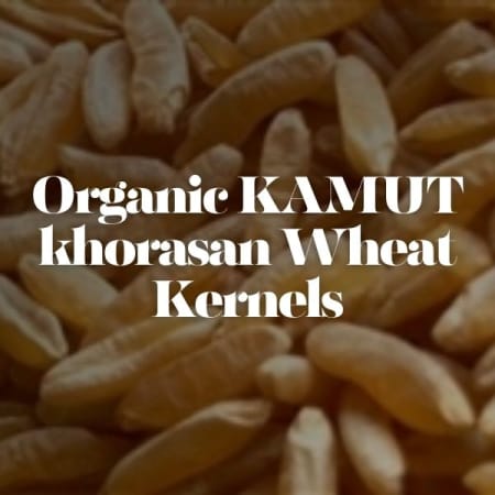 KAMUT