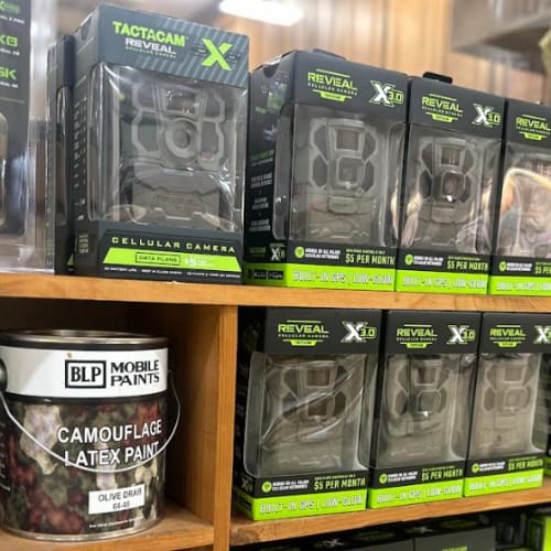 Reveal Cameras. Click to open in modal.