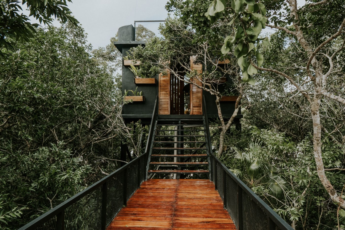 Slapen in een boomhut, vliegen door de jungle: alles over The Gibbon Experience