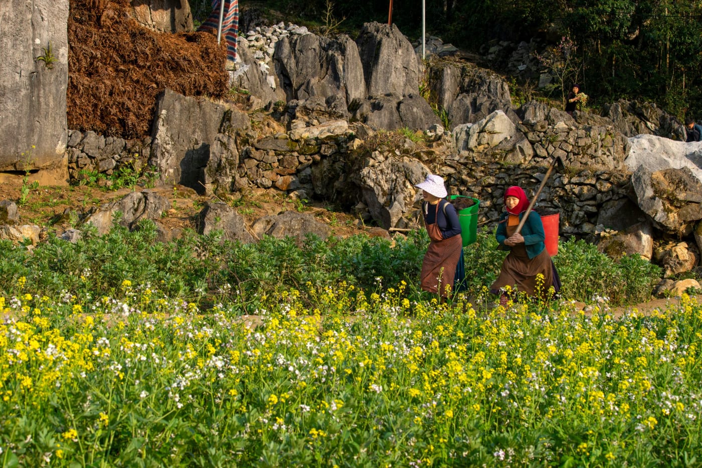 Ha Giang Loop: alles wat je moet weten voor je bezoek