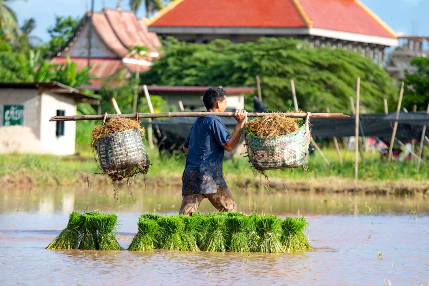 Eten en drinken in Laos: dit moet je geproefd hebben