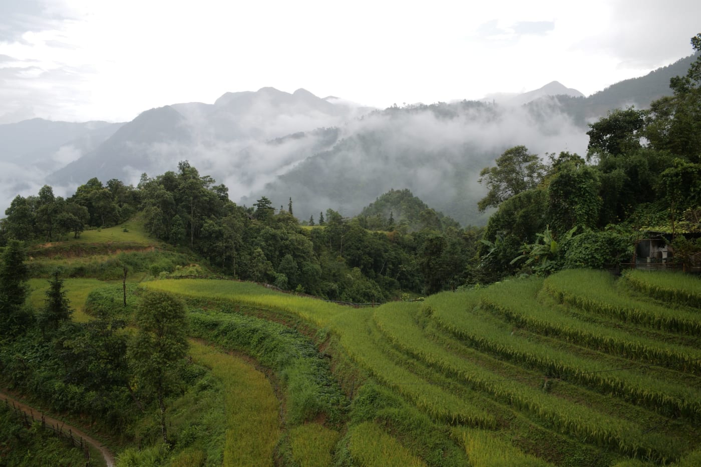 Wat te doen in Sapa? De highlights die je niet mag missen