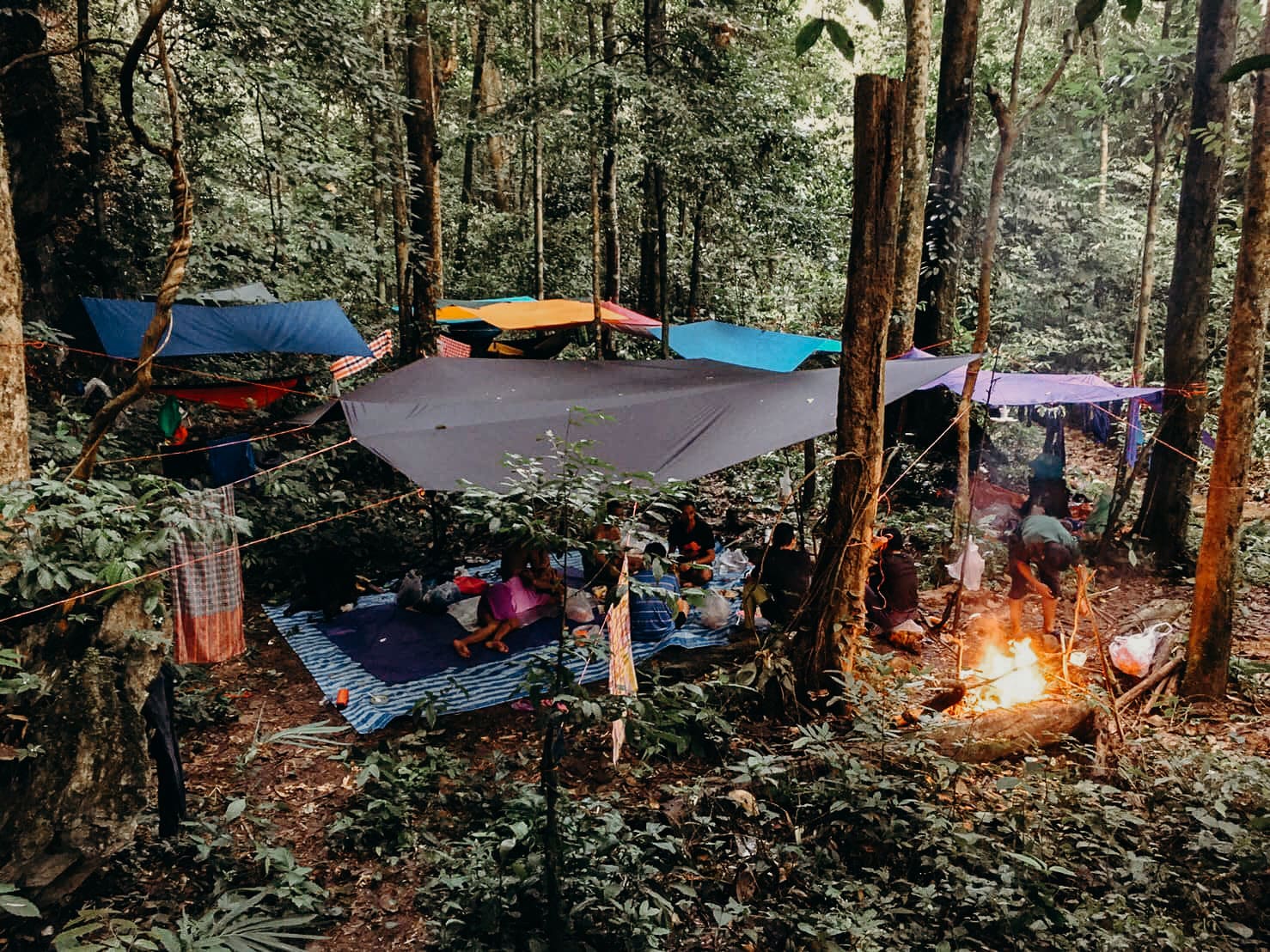 Kamp met hangmatten en tarps rond een kampvuur in het regenwoud van Khao Sok