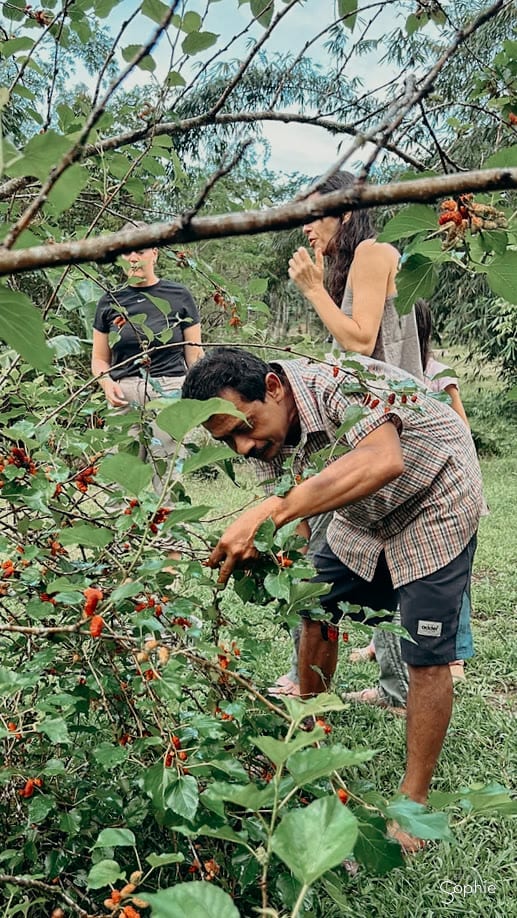 Mr Yoo haalt verse kruiden uit de moestuin van de farm