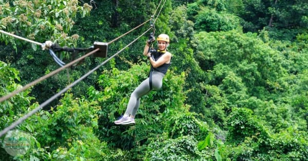Van Koh Samui: Tree Bridge Zipline en Café Experience