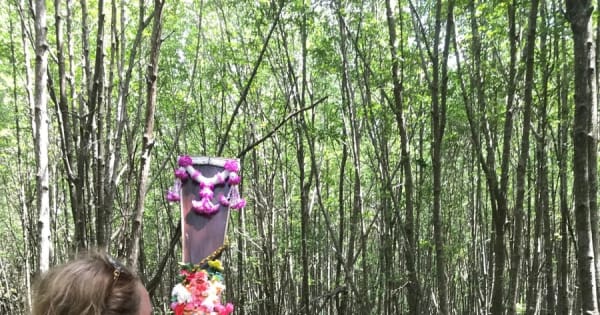 Ko Lanta: halve dagtour mangroveboottocht met lunch