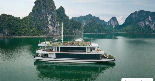 Hanoi: Ha Long Bay-dagtour - luxe boottocht en lunchbuffet