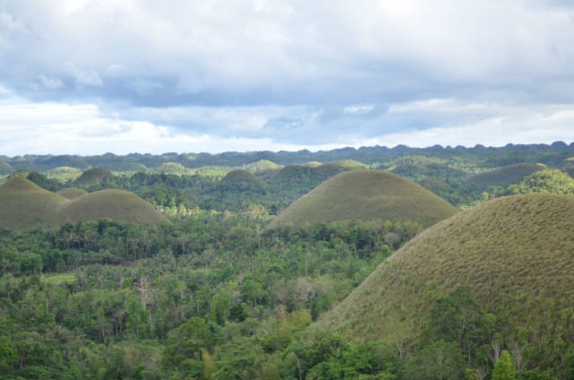 Wat te doen op Bohol? De highlights die je niet mag missen