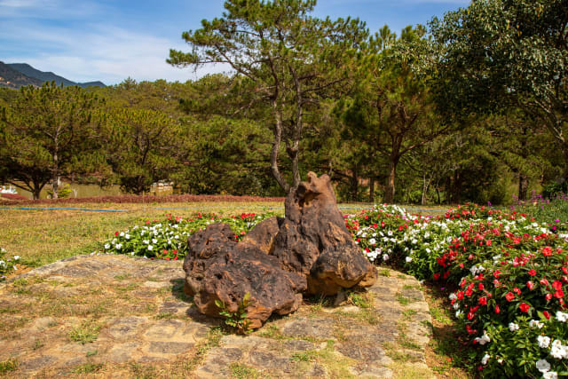 Da Lat: alles wat je moet weten voor je bezoek