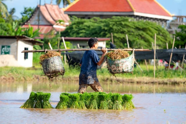 Eten en drinken in Laos: dit moet je geproefd hebben