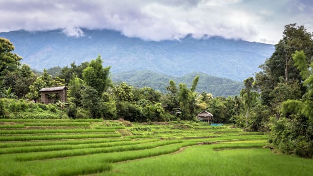 Wat te doen in Pai? De highlights die je niet mag missen