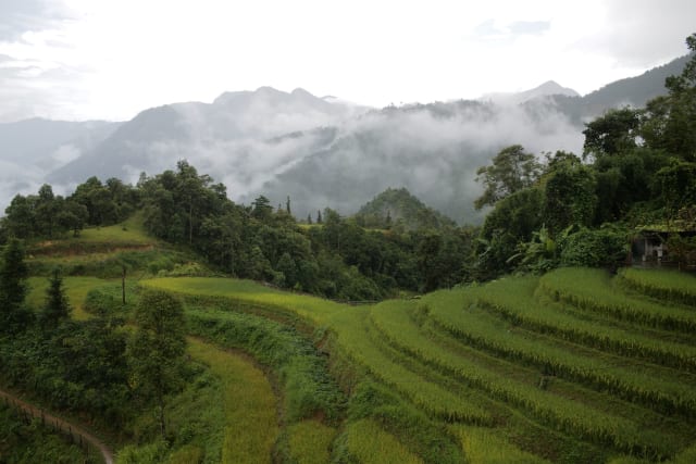 Wat te doen in Sapa? De highlights die je niet mag missen