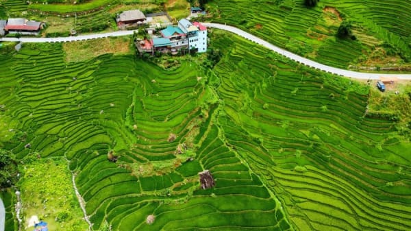 Hoa's Homestay Sapa