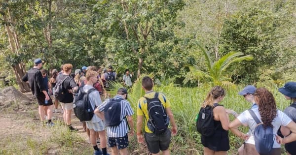 Koh Phangan: verborgen jungletocht en watervalavontuur