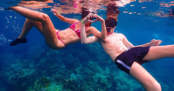Koh Tao: Eilanden Snorkelen Hoogtepunten Dag Tour & Lunch