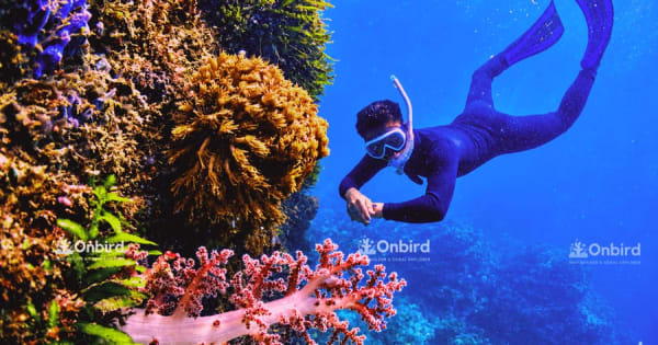Zuid-Phu Quoc: professionele snorkeltocht per speedboot - max. 10 personen
