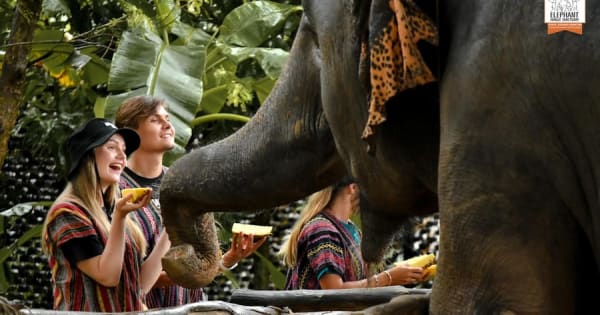 Phuket: Ethisch voederen met olifanten in Jungle Sanctuary