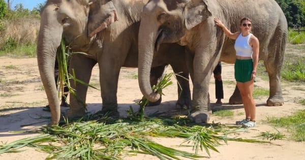 Vanuit Siem Reap: Olifantenopvang ervaring met transfers