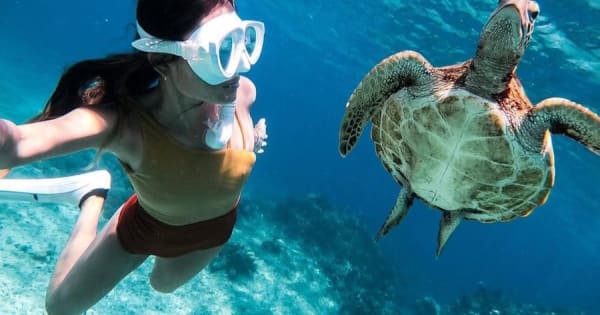 Bohol: eilandhoppen met dolfijnen spotten en zwemmen met zeeschildpadden