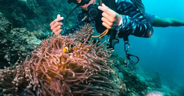 Vanaf Phi Phi: PADI Discover Scuba-dagtour (2 duiken)