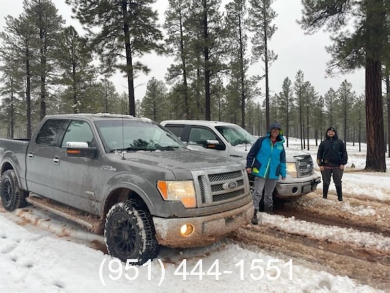 Ford F-150 2011 price $15,750