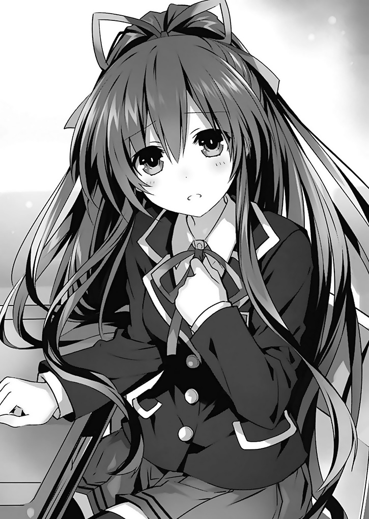 Date A Live Light Novel 22