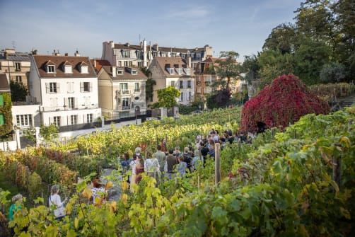 Fête des Vendanges de Montmartre