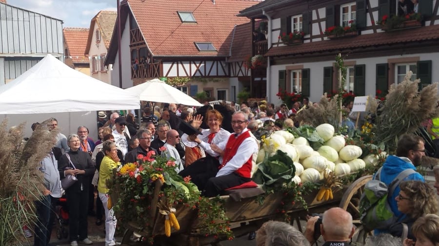 50è Fête de la choucroute-Sürkrütfecht