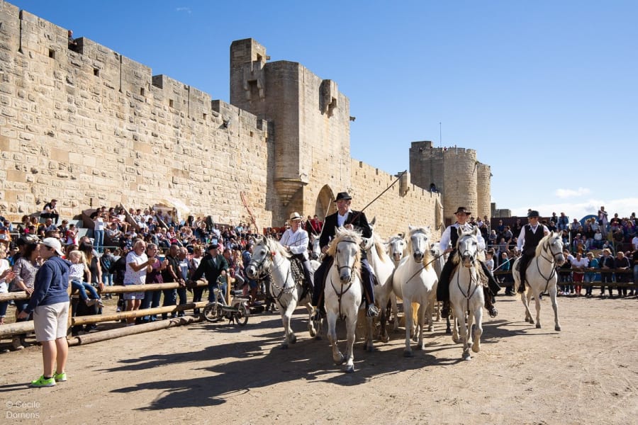 Fête votive d'Aigues-Mortes