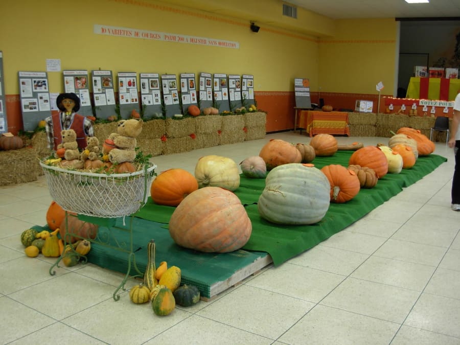 La Courge en Fête