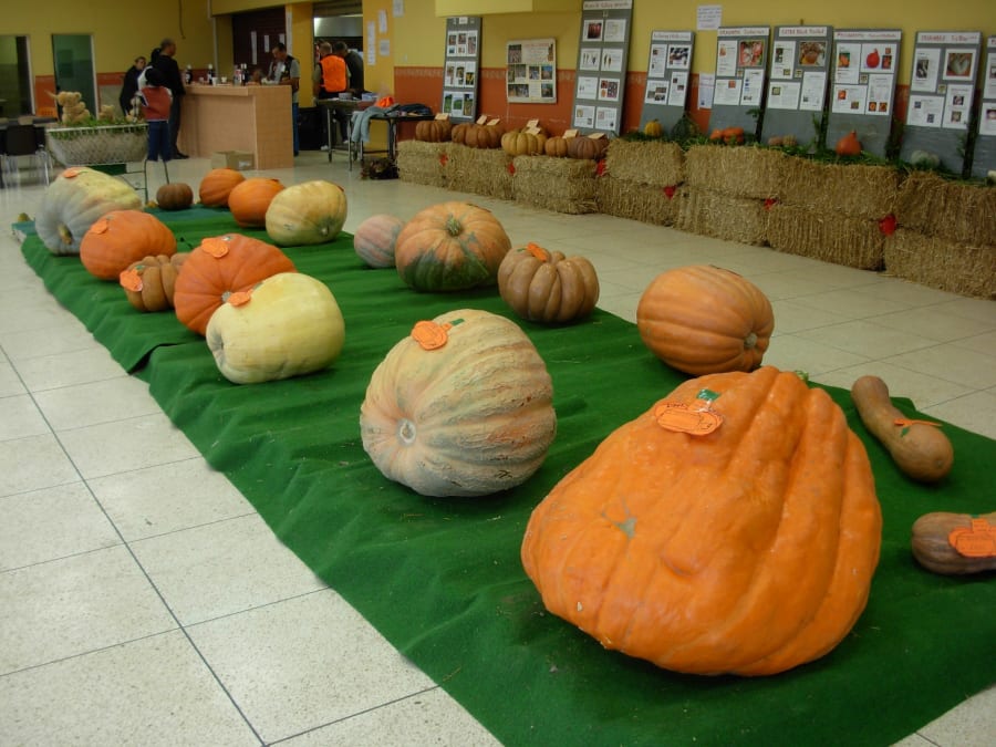 La Courge en Fête